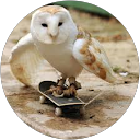 Drip. profile picture