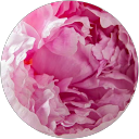 J Ren profile picture