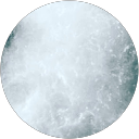 vic cil profile picture